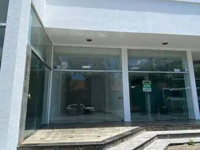 Escritorio aluguel em Região Geográfica Imediata de Telêmaco Borba, Telêmaco Borba