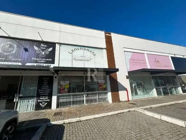 Escritorio aluguel em Tijucas, Região Geográfica Intermediária de Blumenau