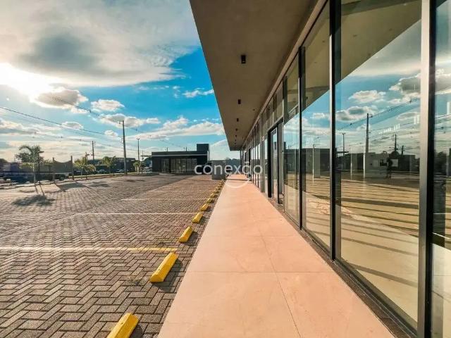 Escritorio aluguel em Região Geográfica Imediata de Toledo, Toledo