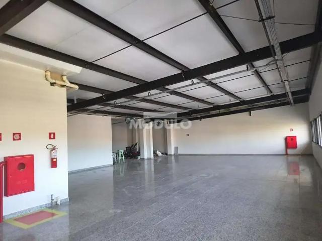 Escritorio aluguel em Segismundo Pereira, Uberlândia