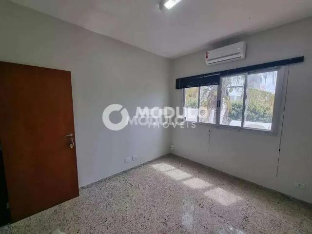 Escritorio aluguel em Umuarama, Uberlândia