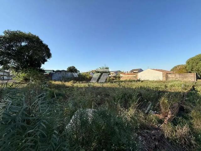 Escritorio venda em Região Geográfica Imediata de Cascavel, Cascavel