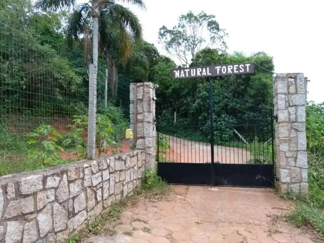 Escritorio venda em Região Geográfica Imediata de Florianópolis, Imbituba