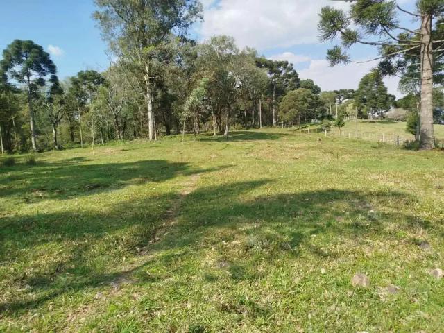 Escritorio venda em Região Geográfica Imediata de Caxias do Sul, Ipê