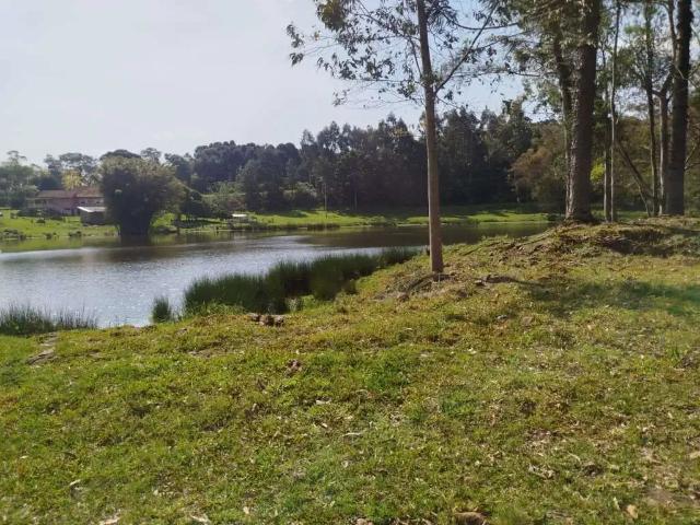 Escritorio venda em Região Geográfica Imediata de Caxias do Sul, Ipê