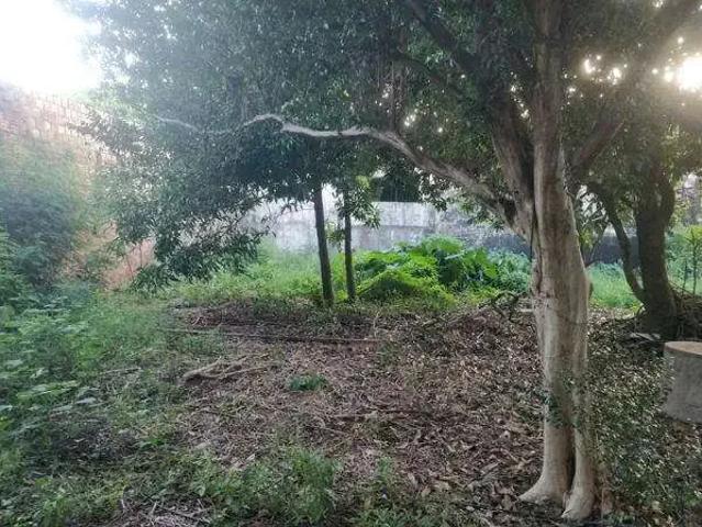 Escritorio venda em Região Geográfica Imediata de Londrina, Londrina