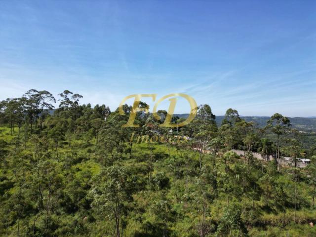 Escritorio venda em Bom Jesus da Capela da Terra Preta, Mairiporã