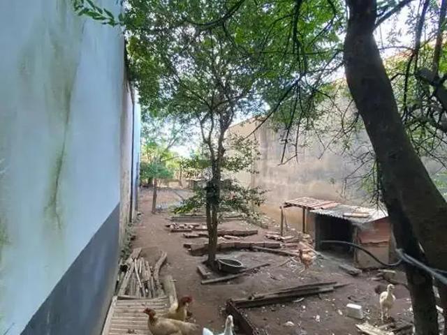 Escritorio venda em Região Imediata de São Carlos, São Carlos
