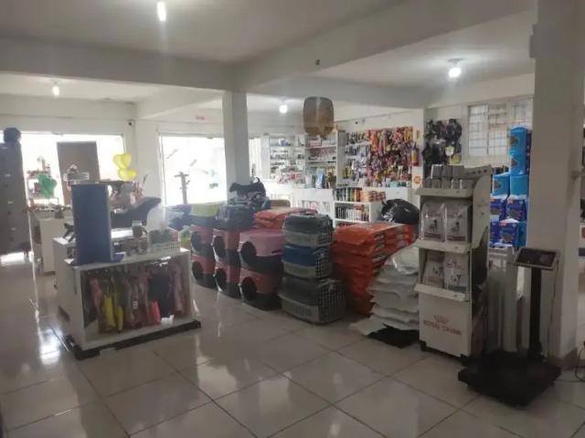 Escritorio venda em Região Geográfica Imediata de Florianópolis, São José