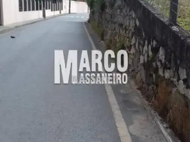 Escritorio venda em Região Geográfica Imediata de Florianópolis, São José
