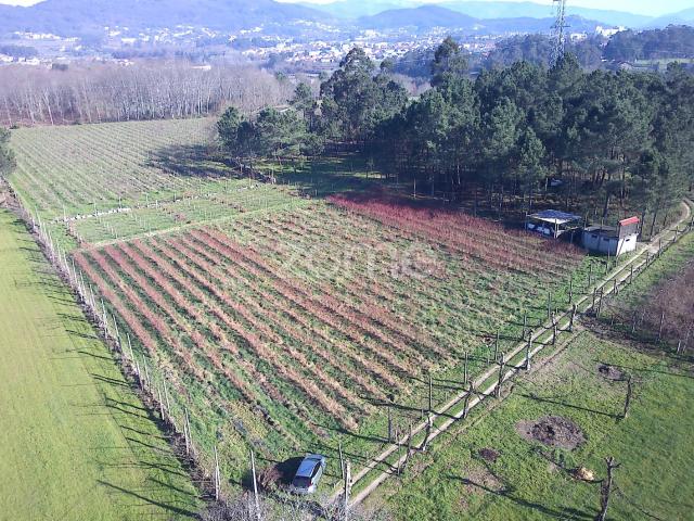 Terreno venda em Amares, Braga