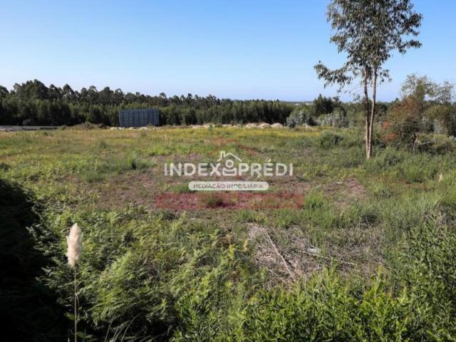 Terreno venda em Santa Maria Da Feira, Aveiro
