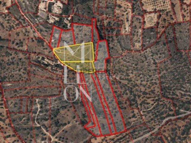 Terreno venda em Albufeira e Olhos de Água, Albufeira