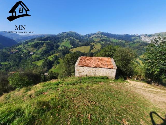 Chalet en venta en Cervera De Pisuerga, Castilla y León