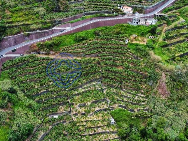Terreno venda em Moledos da Madalena do Mar, Ponta Do Sol