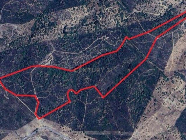 Terreno venda em São Barnabé, Almodôvar