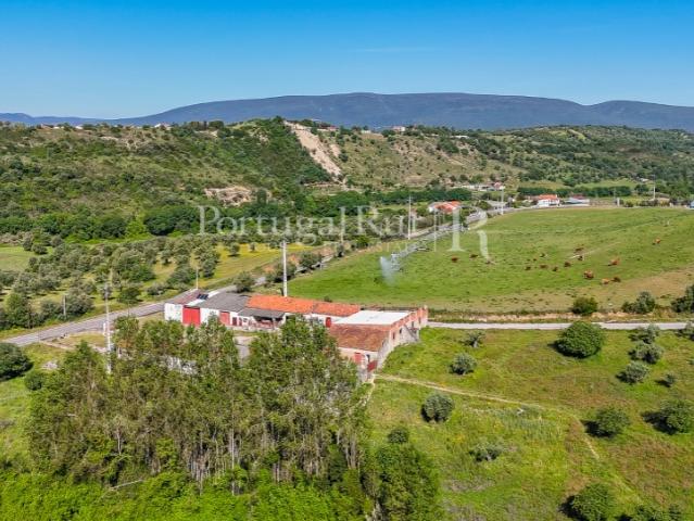 Quinta venda em Torres Novas, Santarém