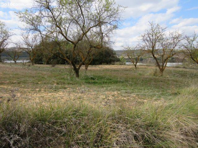 Local Comercial en venta en la Colmena (Margarita Macip), la Vall d'Albaida