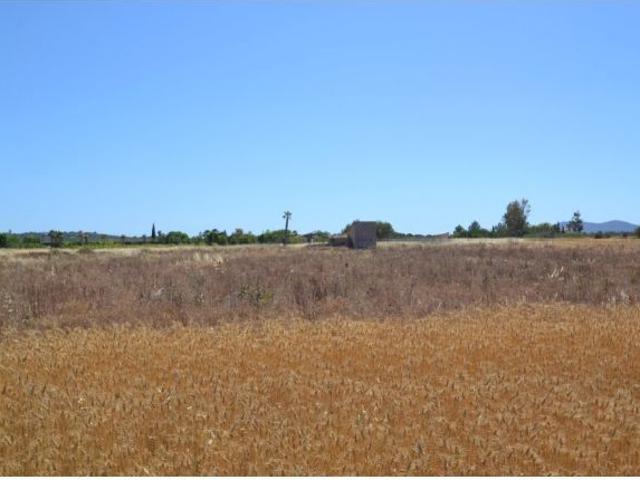 Local Comercial en venta en Pla de Mallorca, Baleares