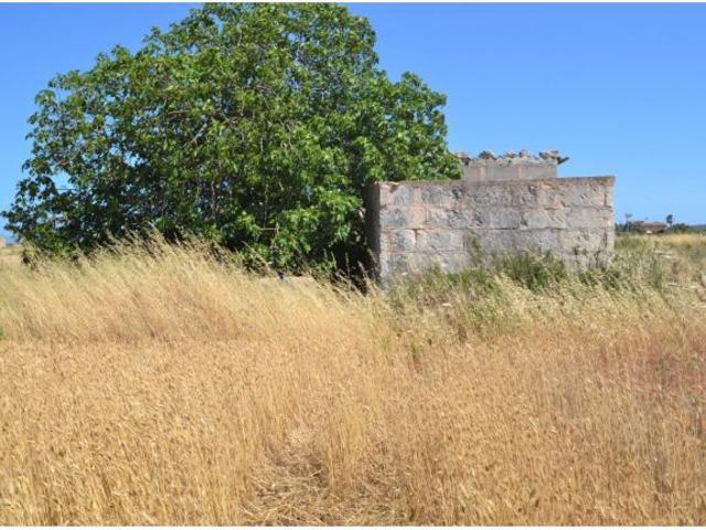 Local Comercial en venta en Pla de Mallorca, Baleares