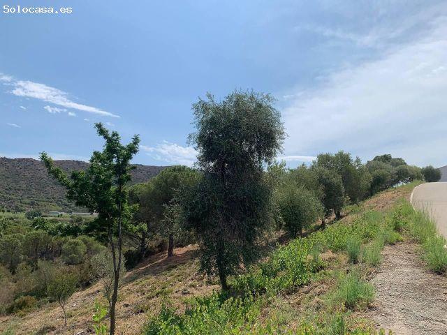 Local Comercial en venta en Alt Empordà, Catalunya