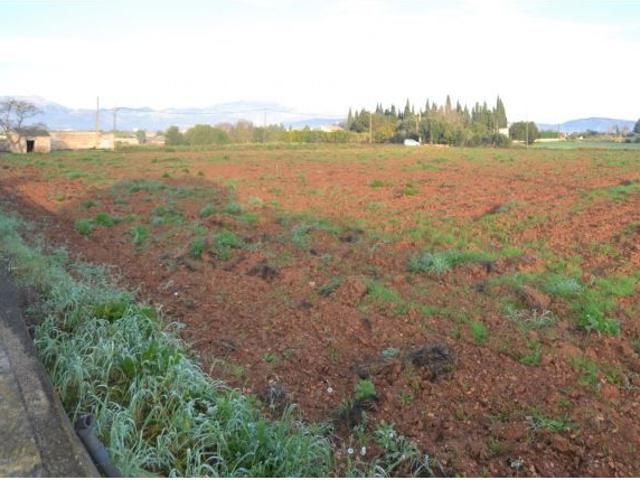 Local Comercial en venta en Pla de Mallorca, Baleares