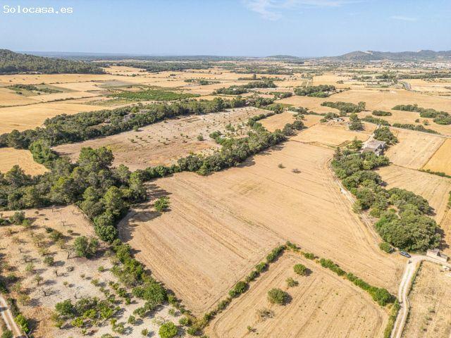 Local Comercial en venta en Pla de Mallorca, Baleares