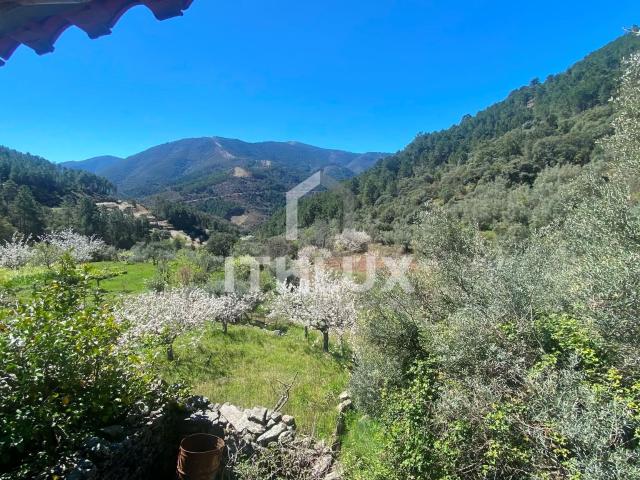 Casa en venta en Pinofranqueado, Extremadura