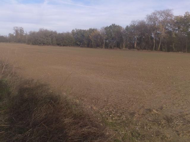 Terreno en venta en Cinco Villas, Aragón