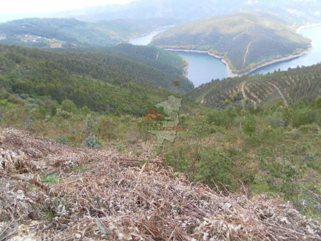 Terreno venda em Castelo Branco, Oleiros