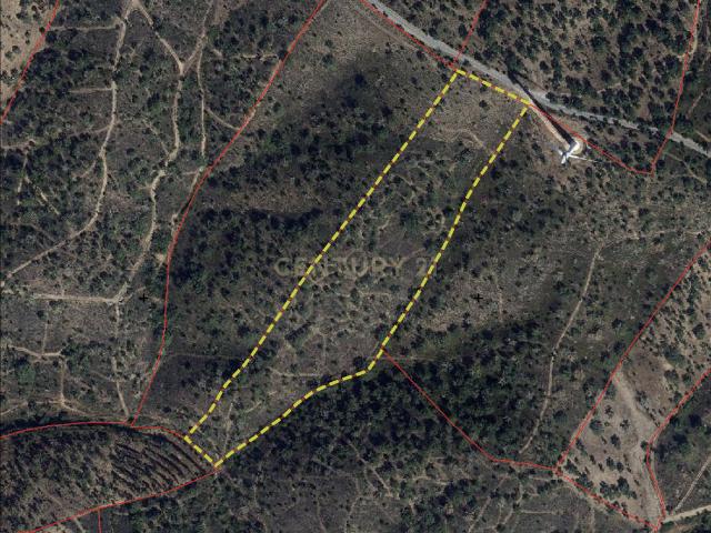Terreno venda em São Barnabé, Almodôvar