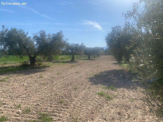 Local Comercial en venta en Moratalla, Región de Murcia