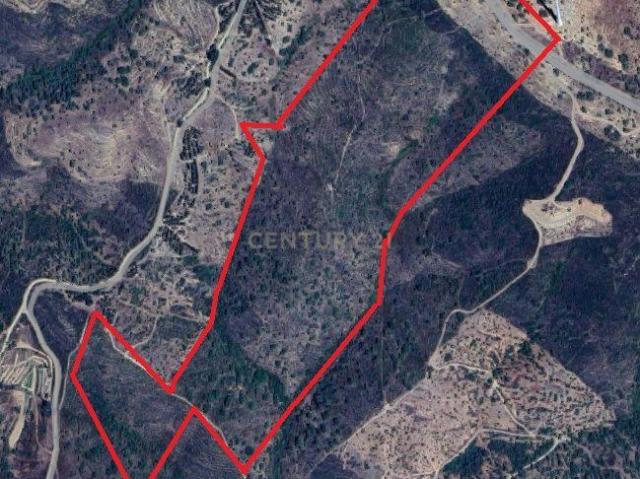 Terreno venda em São Barnabé, Almodôvar