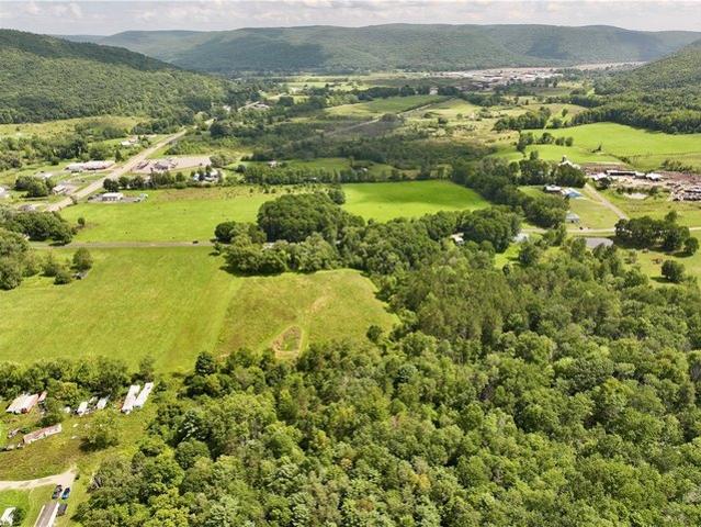 Land for sale in Cayuta, New York