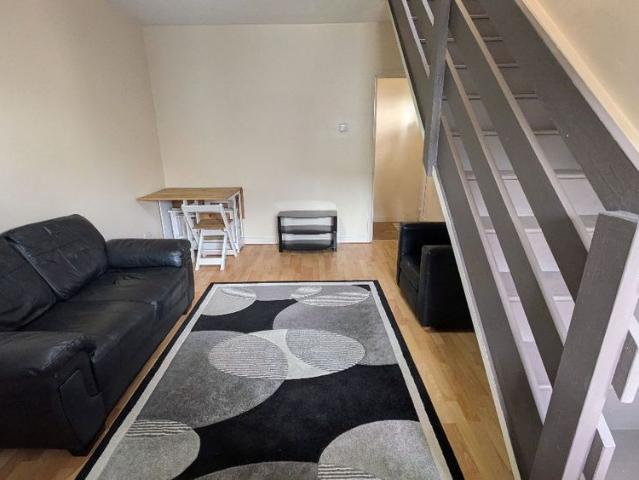 House for rent in Plasnewydd, Falcon Lodge