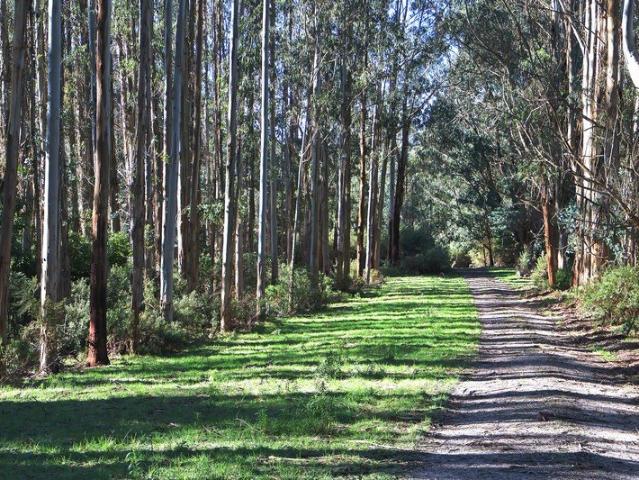 Land for sale in Toora North, Victoria