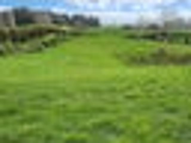 Land for sale in Inglewood, Taranaki