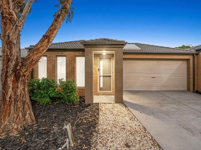 House for rent in Geelong, Victoria