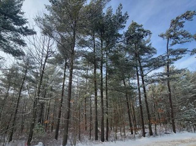 Land for sale in Peru, New York