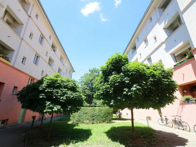 Wohnung kaufen in Süd, Leipzig
