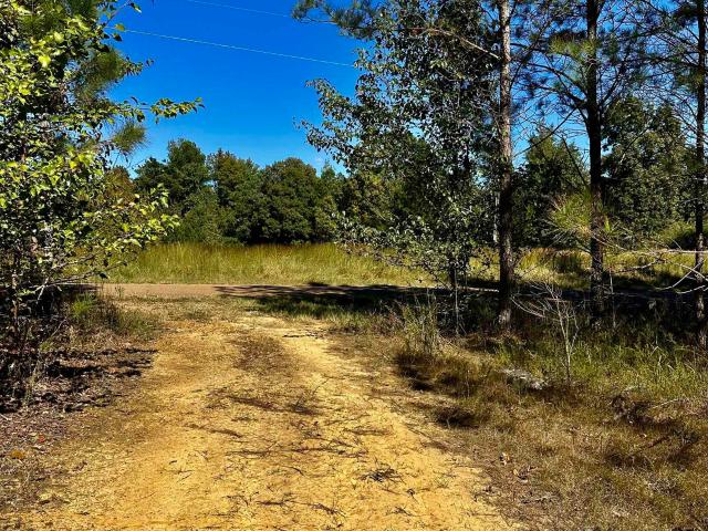 Land for sale in Tennessee