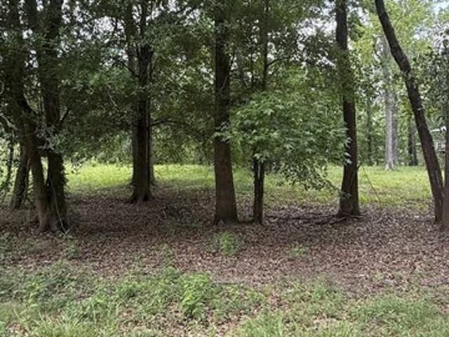 Land for sale in Vidor, Texas