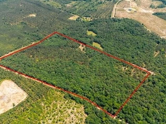 Land for sale in Buena Vista, Georgia