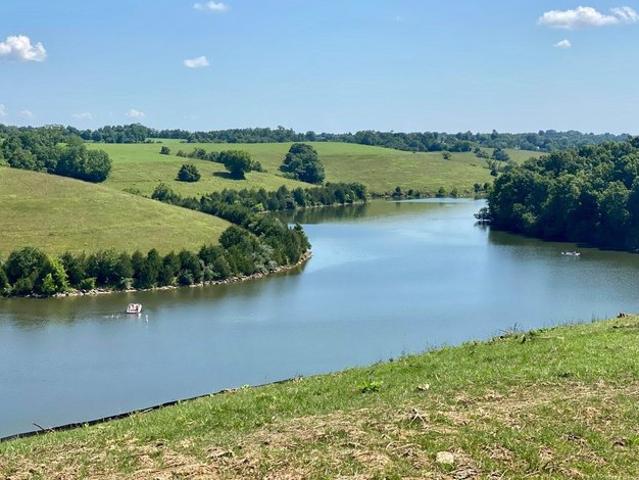 Land for sale in Williamstown, Kentucky
