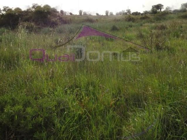Terreno venda em Constância, Santarém