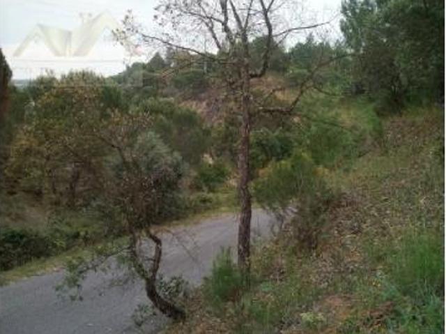 Terreno venda em Constância, Santarém