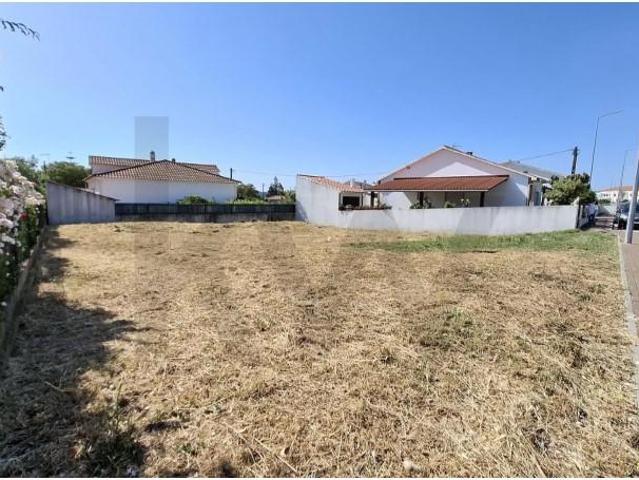 Terreno venda em Constância, Santarém