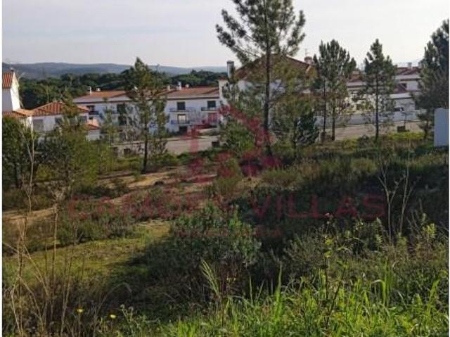 Terreno venda em Constância, Santarém