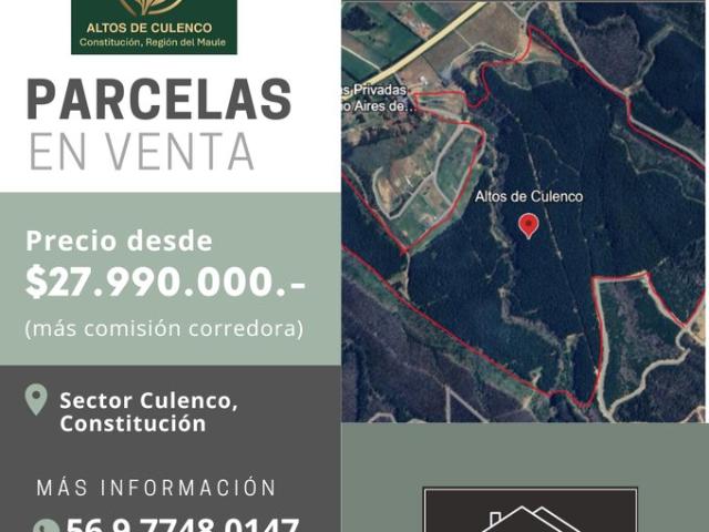 Constitución, Altos de Culenco