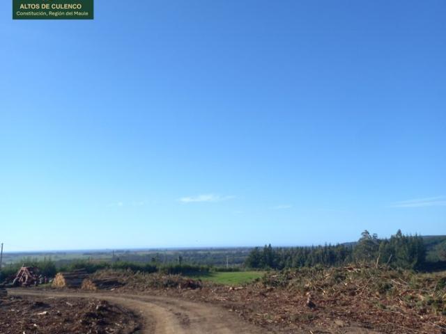 Constitución, Altos de Culenco